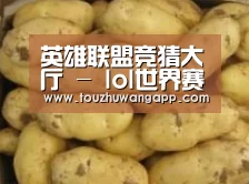 产品展示标题6