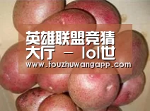 产品展示标题1