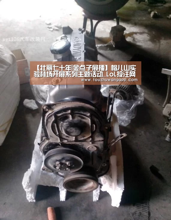 【壮丽七十年|金点子展播】帽儿山实验林场开展系列主题活动_LoL投注网站 | 2026年最佳英雄联盟投注网站(图1) LoL投注网站 | 2026年最佳英雄联盟投注网站