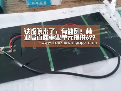 铁饭碗来了,有体例!林业局直属事业单元提供699个岗位:LoL投注网站官网(图2) LoL投注网站直播
