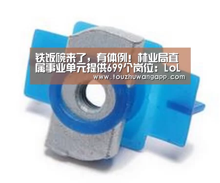 铁饭碗来了,有体例!林业局直属事业单元提供699个岗位:LoL投注网站官网(图3) LoL投注网站官网