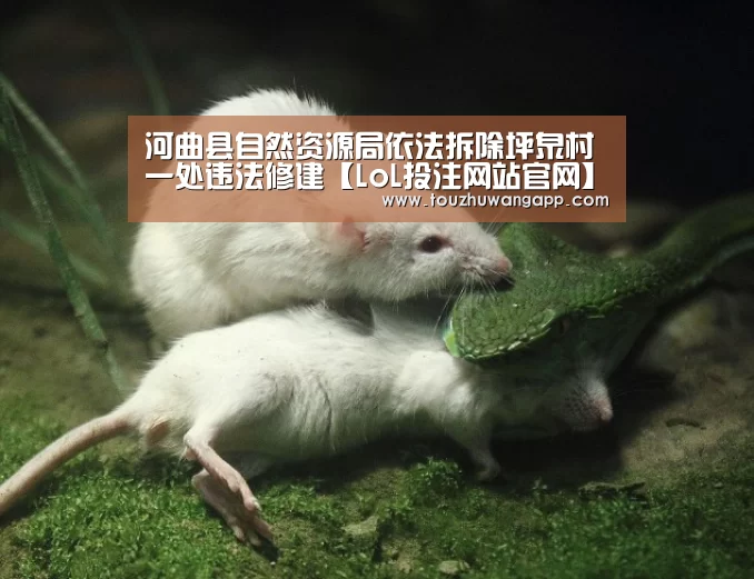 河曲县自然资源局依法拆除坪泉村一处违法修建【LoL投注网站官网】(图3) LoL投注网站 | 2026年最佳英雄联盟投注网站
