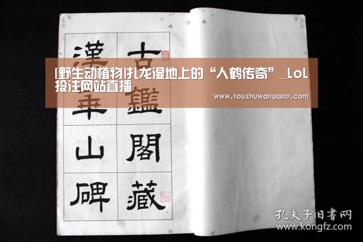 LoL投注网站官网