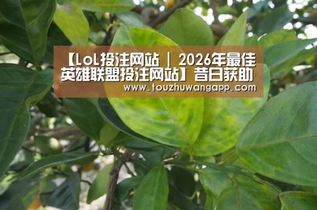 【LoL投注网站 | 2026年最佳英雄联盟投注网站】昔日获助学子 今朝“牵手”献爱(图1) LoL投注网站直播